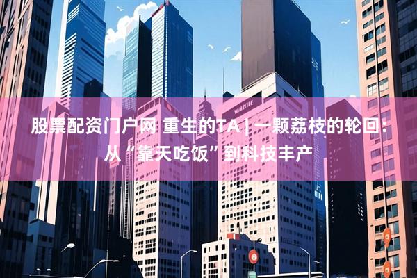 股票配资门户网 重生的TA | 一颗荔枝的轮回：从“靠天吃饭”到科技丰产