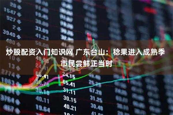 炒股配资入门知识网 广东台山：稔果进入成熟季 市民尝鲜正当时